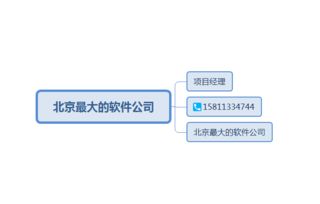 2019软件开发公司排名