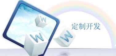 软件定制外包 赋能企业高效开发专业业务软件
